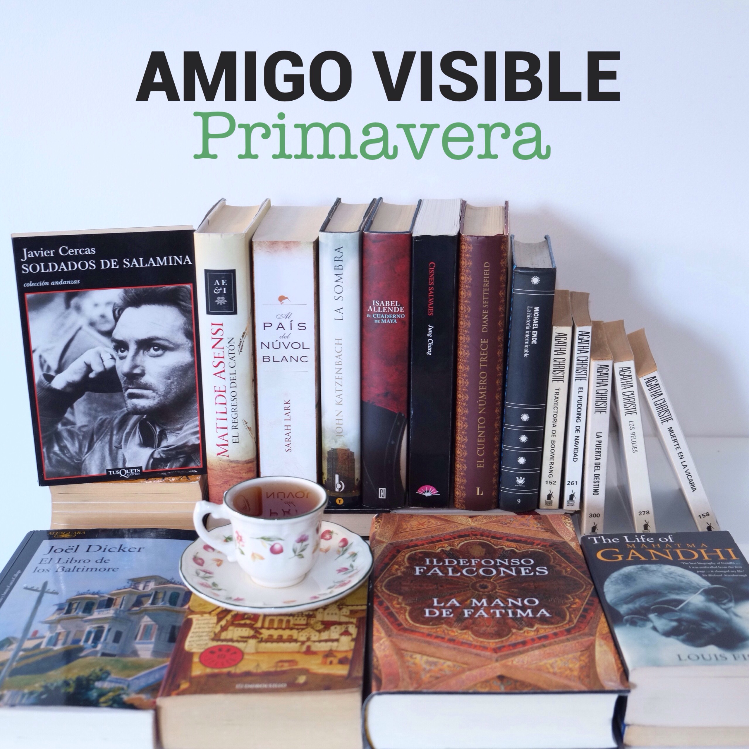 Amigo Visible Primavera