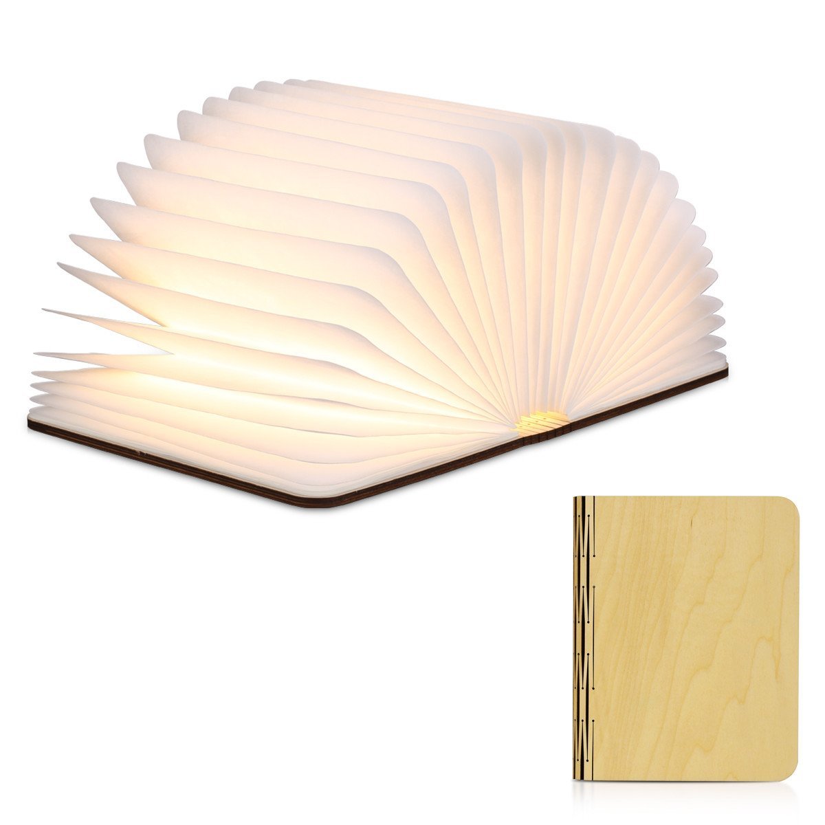 luz led libro